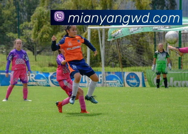 问鼎娱乐服务体系